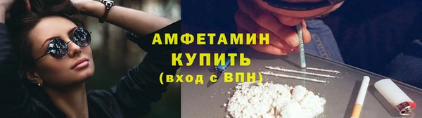 гидропоника Алзамай