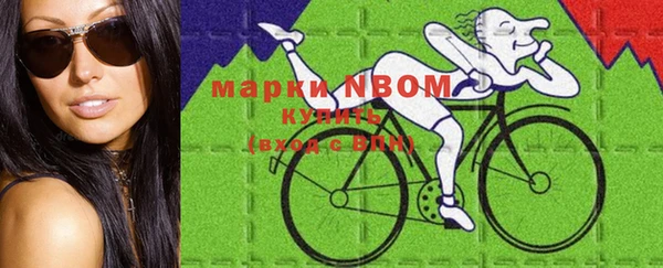 гидропоника Алзамай