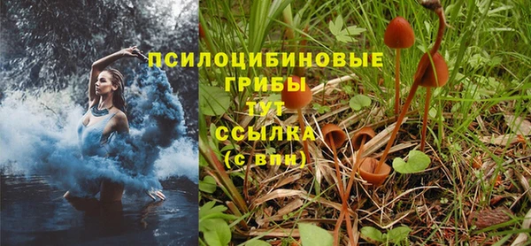 гидропоника Алзамай