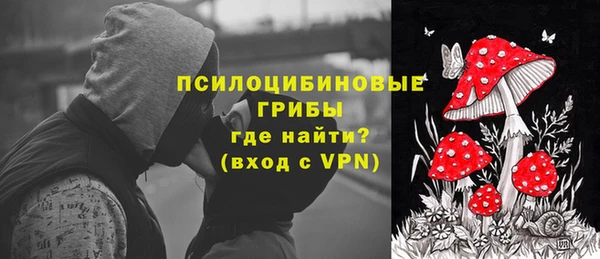 ГАЛЛЮЦИНОГЕННЫЕ ГРИБЫ Алексин