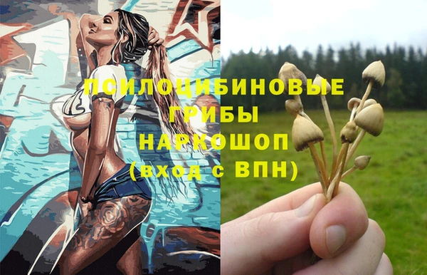 ГАЛЛЮЦИНОГЕННЫЕ ГРИБЫ Алексин