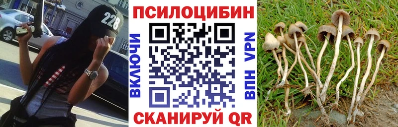 даркнет состав  Карабаш  Псилоцибиновые грибы Psilocybe 